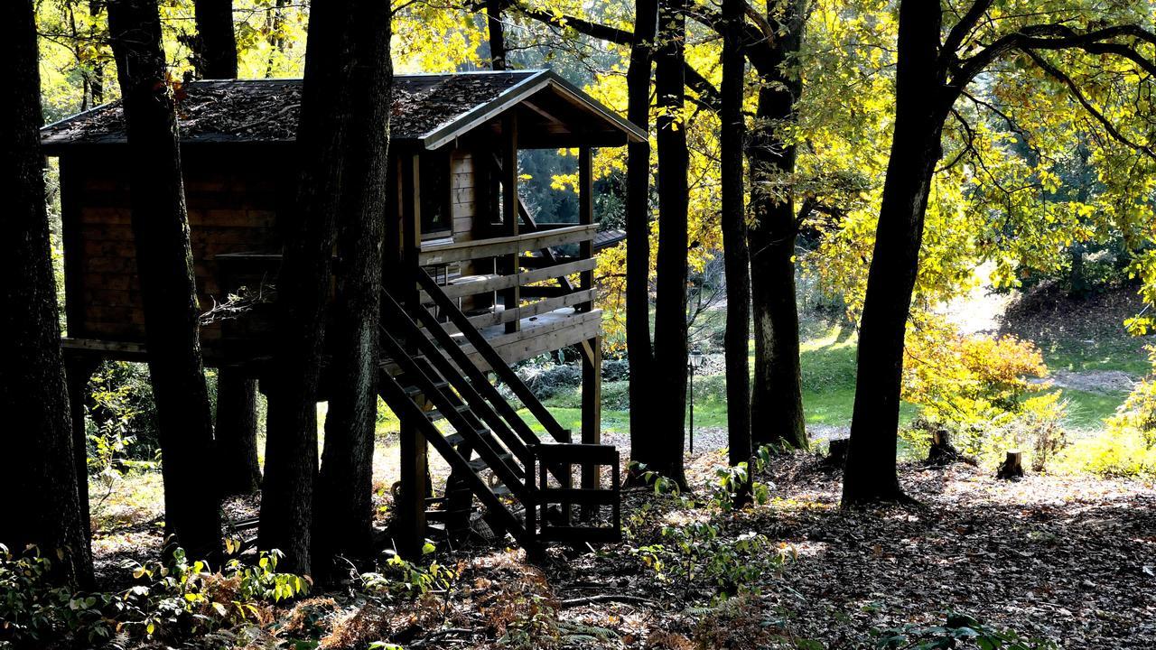 Вилла La Raffa House - Green House Аркоре Экстерьер фото